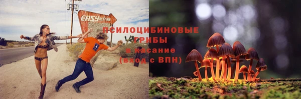 прущие крисы Верея