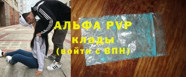 прущие крисы Верея