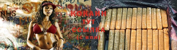 МДПВ Корсаков