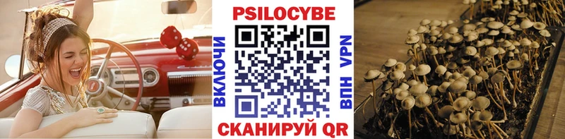 Галлюциногенные грибы Cubensis  даркнет сайт  Рузаевка 