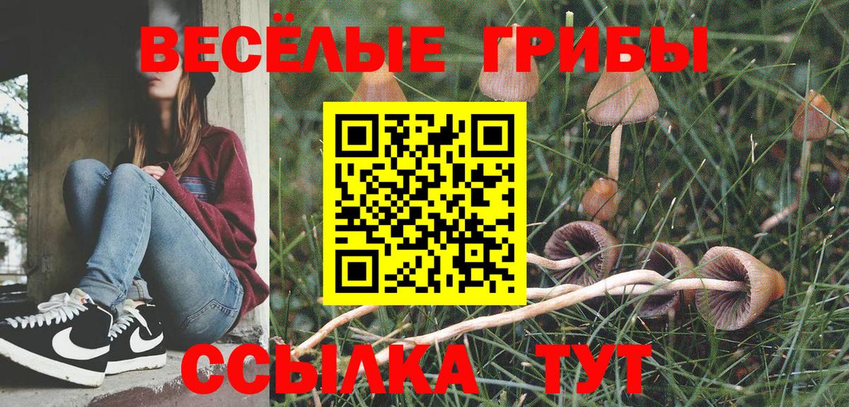 Псилоцибиновые грибы ЛСД Рузаевка